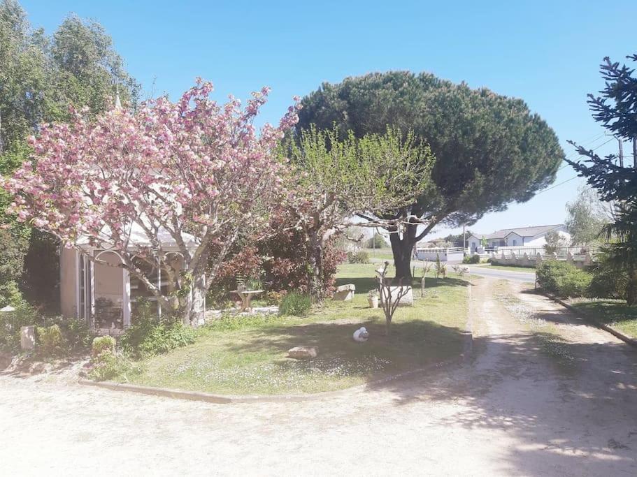 Gite La Burthe Monprimblanc Экстерьер фото